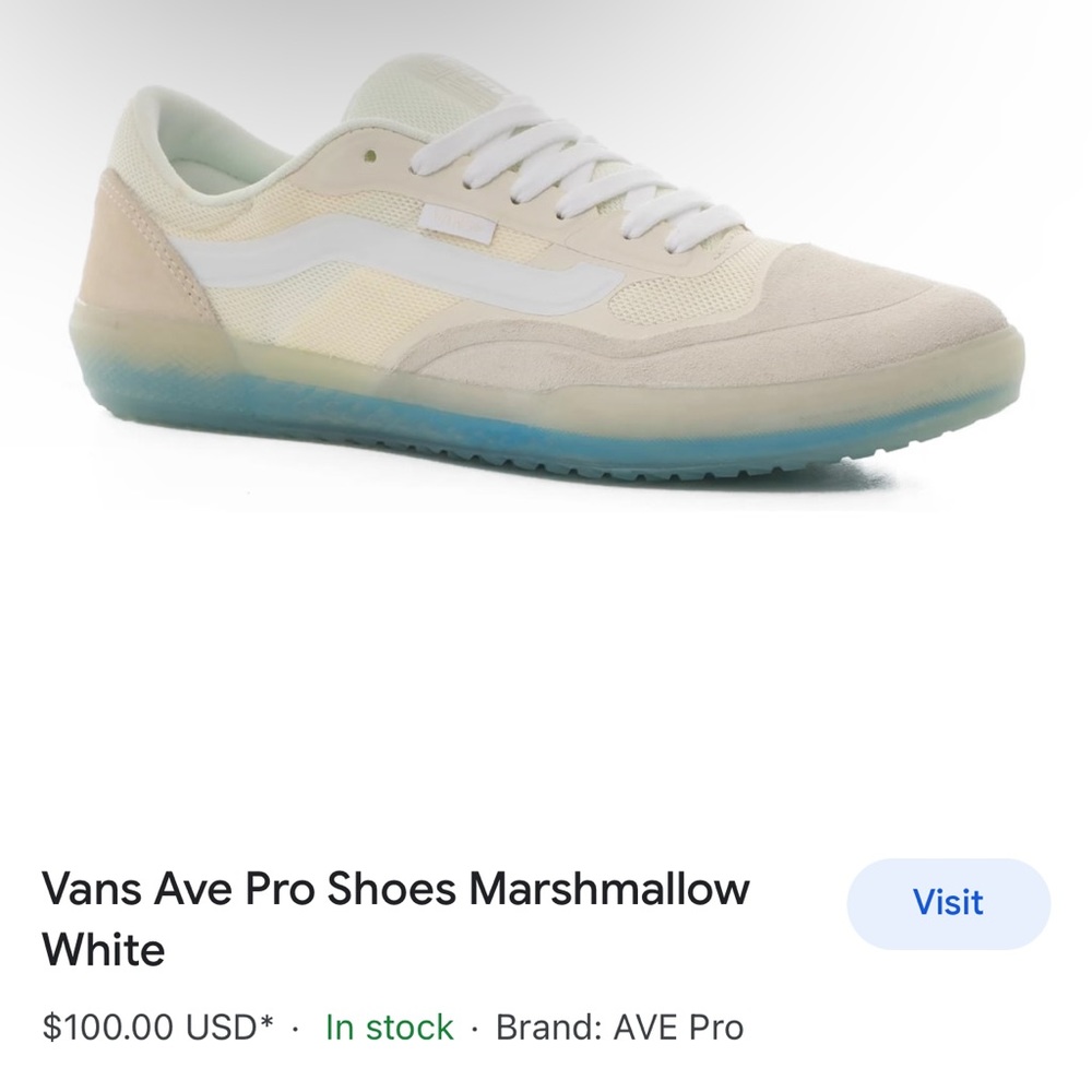 Vans worlds #1 skateboard sneakers